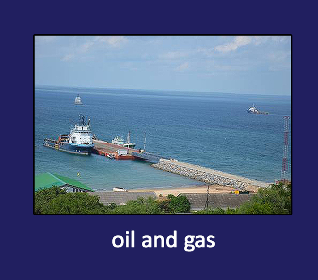 OilNGas